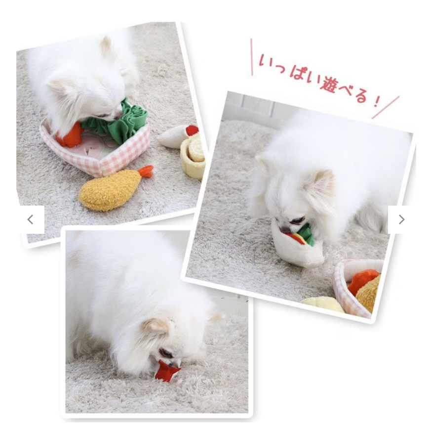 PP Japanese Lunch Box – Work Meal