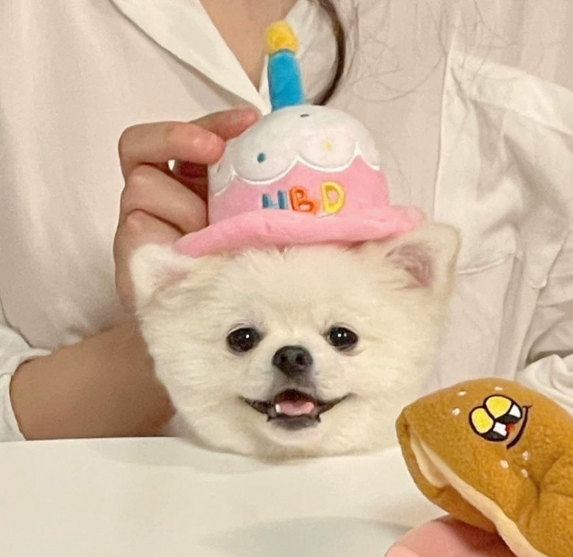 Biteme- birthday hat