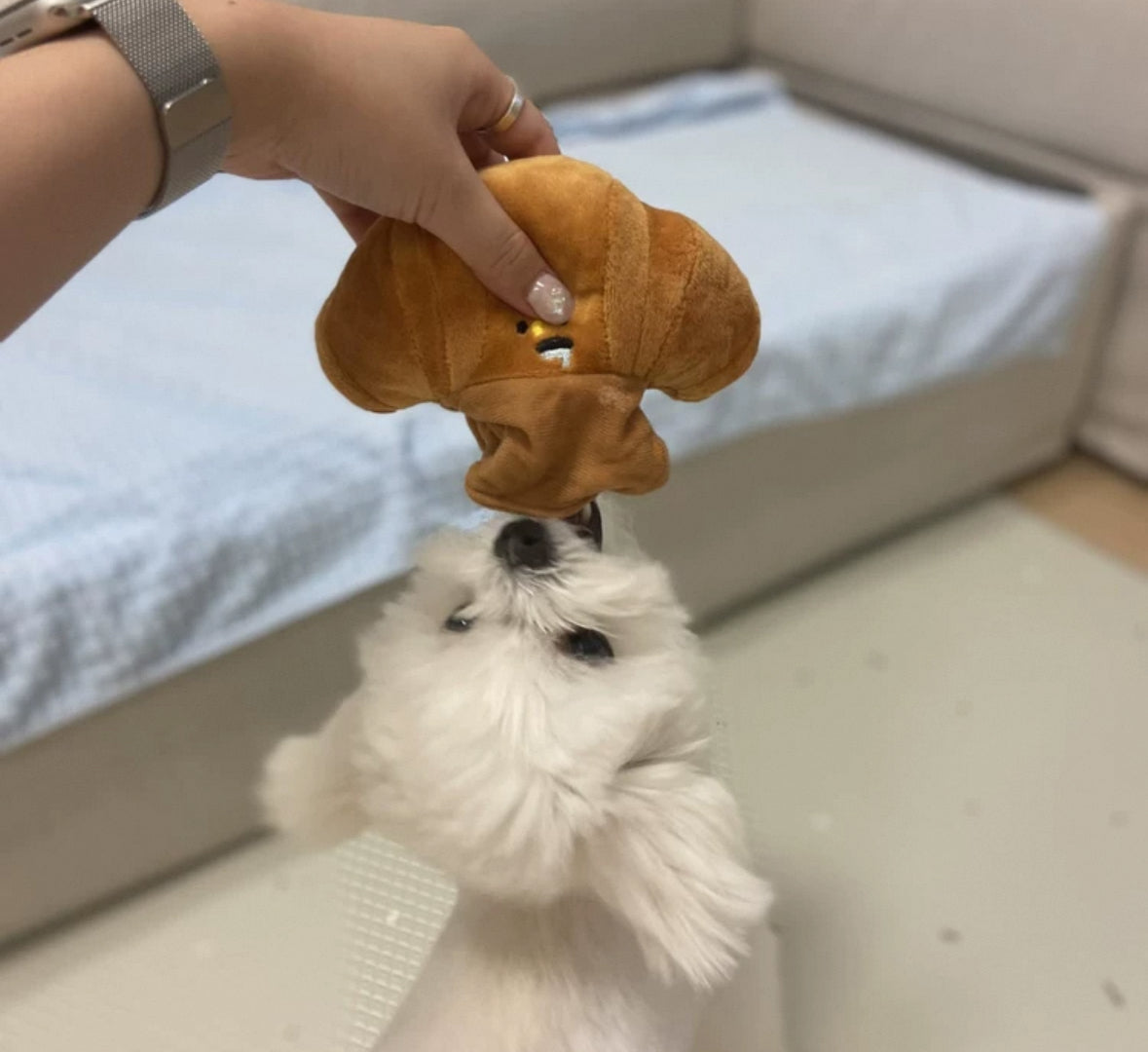 Biteme-Butter Croissant