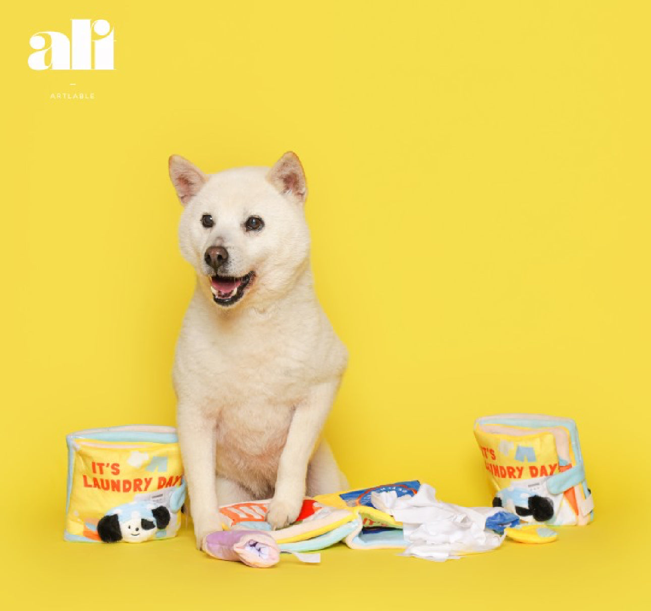 Biteme-Washing Machine Style Toy Book