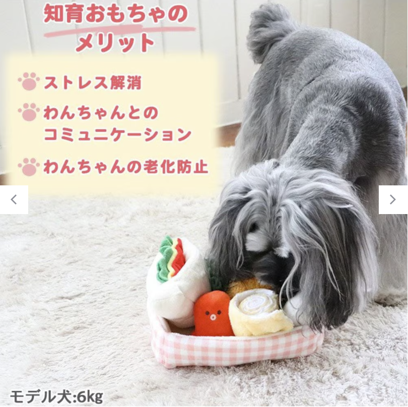 PP Japanese Lunch Box – Work Meal
