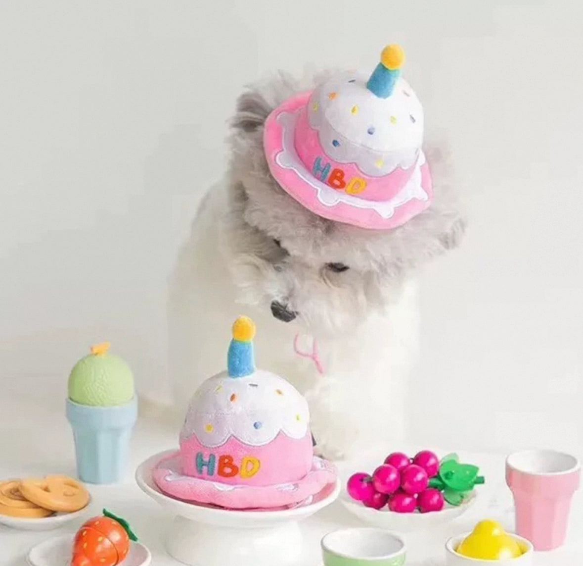 Biteme- birthday hat