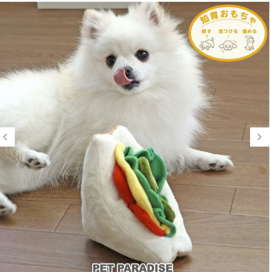 Japan- sanwich PP