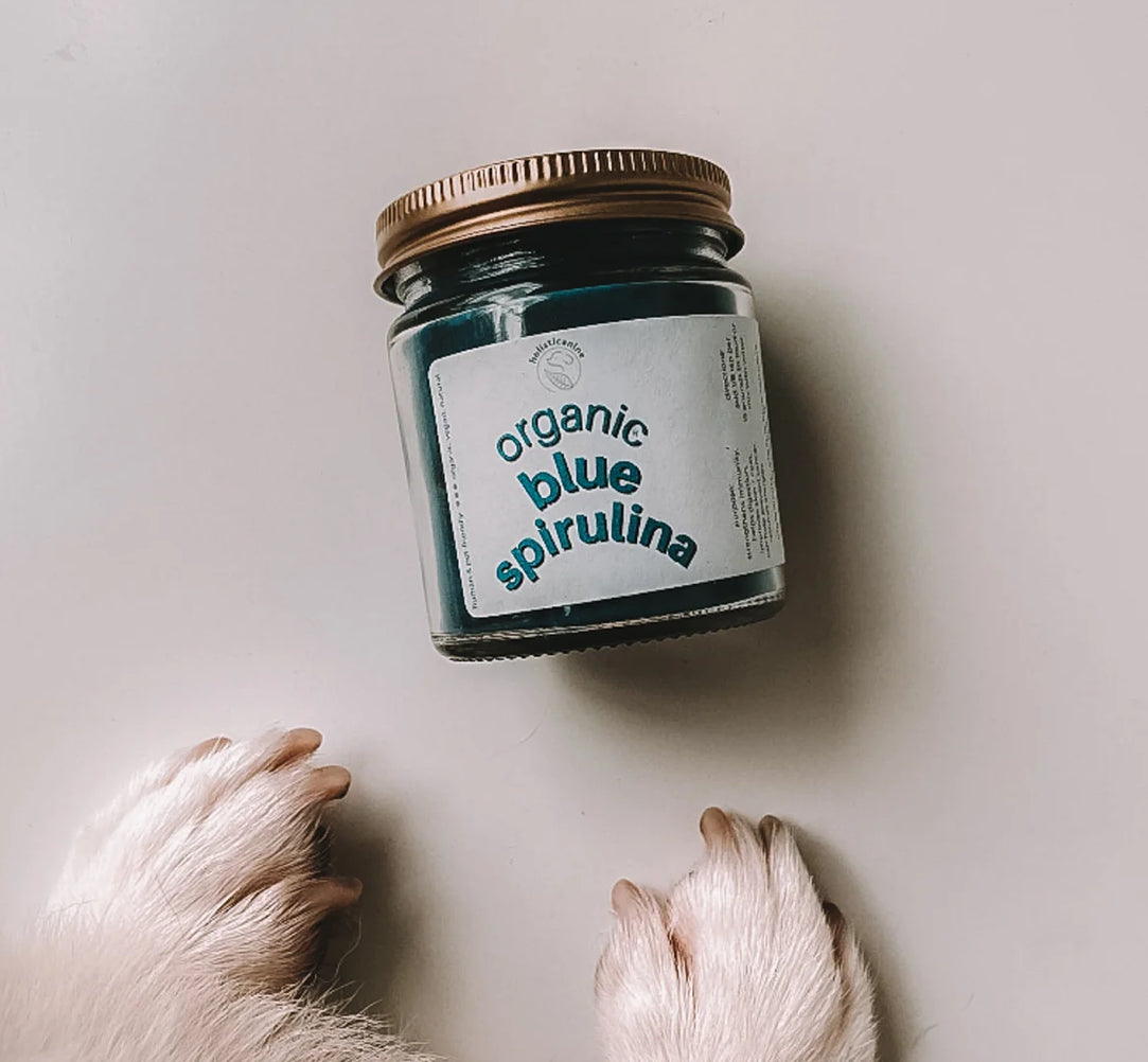 Holisticanine Blue Splurlina
