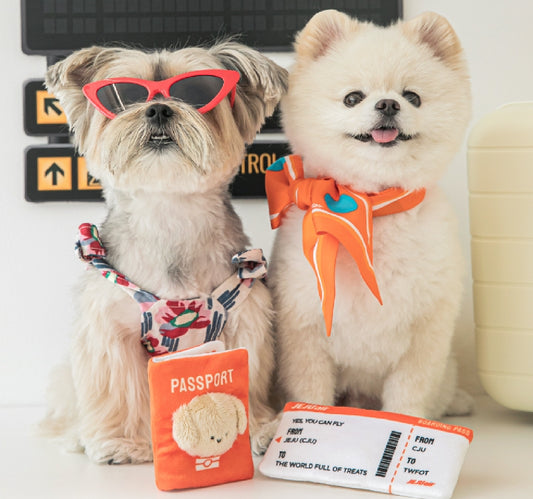 Biteme🇰🇷 -passport