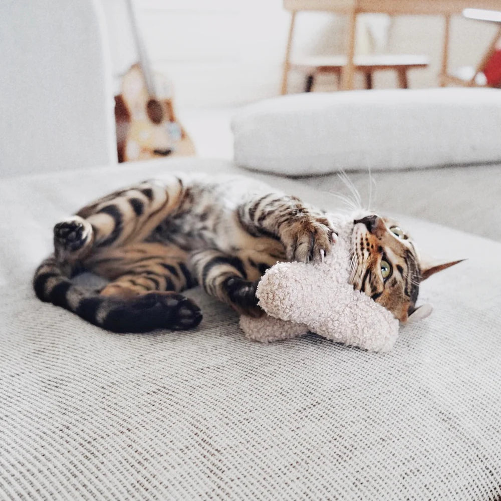Lambwolf-KITTY BREUER