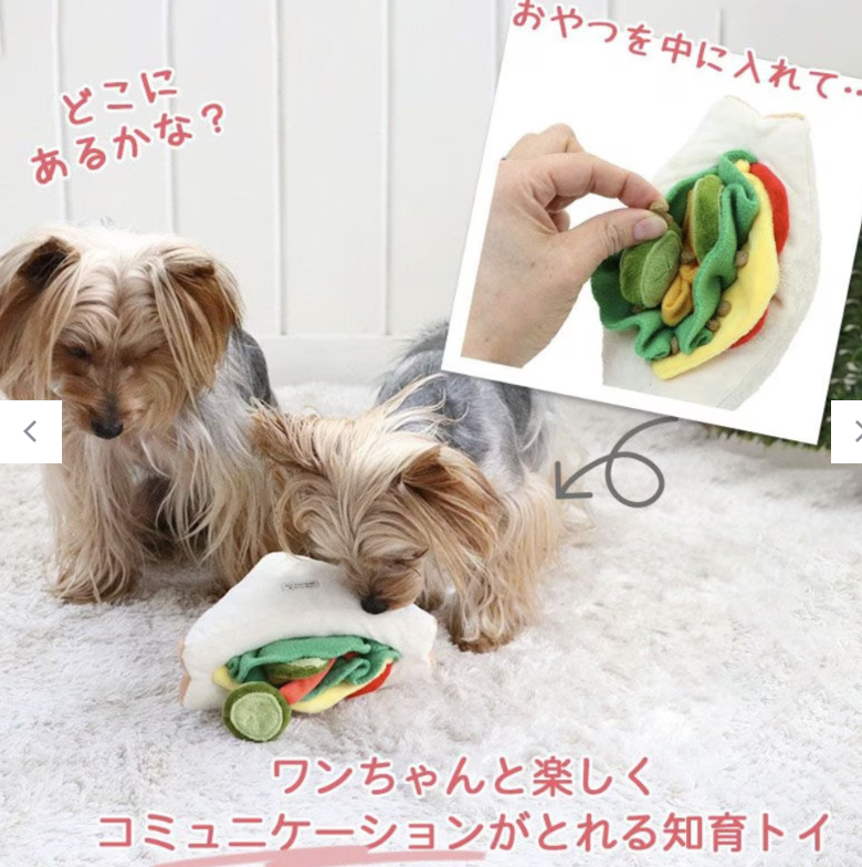 Japan- sanwich PP