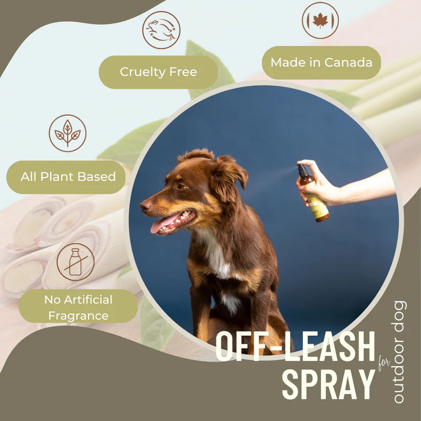 Black Sheep Lemongrass & Mint Off-Leash Dog Spray